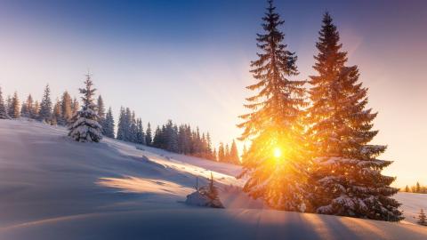 ROSI口罩合集打包下载永久更新