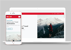 简约大气探索目的地旅游公司网站模板