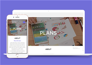 宽屏响应式市场调研分析公司网页静态模板