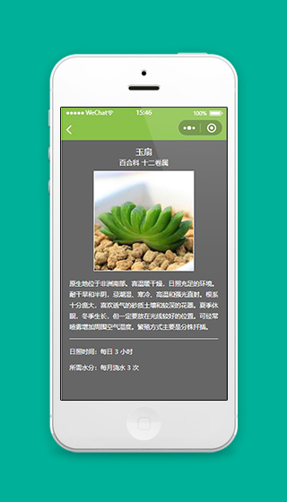 植物小程序多肉植物详情页面源码下载