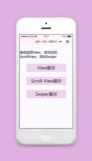 基础视图控件展示微信小程序源码下载