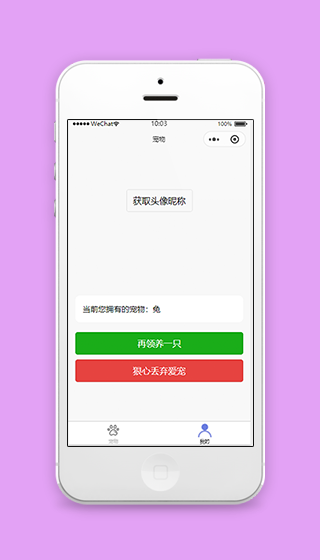头像获取微信领养宠物个人中心程序源码