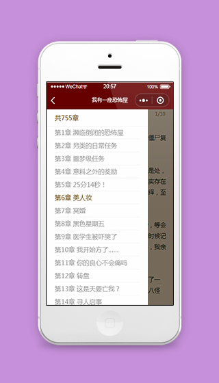 侧边栏拉出小说章节选择微信阅读程序源码