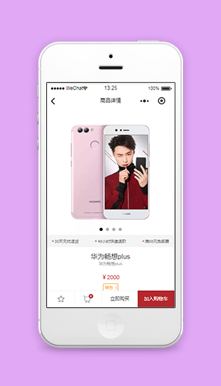 图片轮播样式商品详情微商城销售页源码