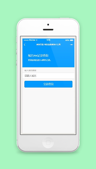 域名解析记录信息查询微信小程序源码下载
