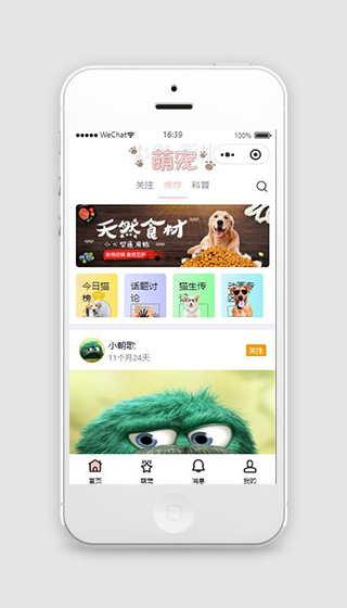 宠物饲料科普小程序模板下载