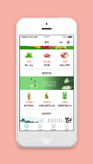 图文商品展示分类销售商城首页程序模板