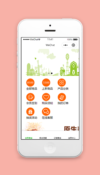 服务分类展示产品销售会员商城首页模板