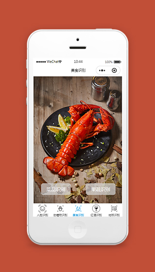 美食菜品识别微信小程序模板下载